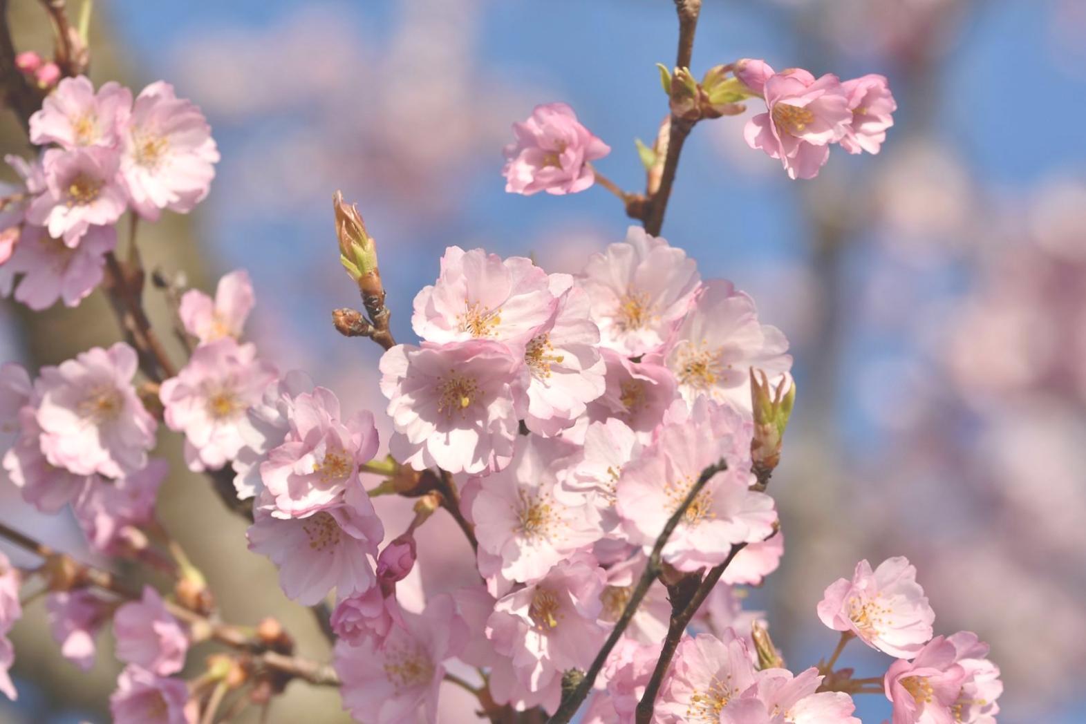 Professional floral arrangement demonstration during masterclass session